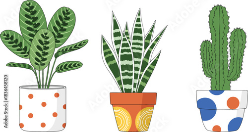 Modern Potted Houseplants Vector Set Featuring Leafy Tropical Plant, Snake Plant, and Cactus in Decorative Pots