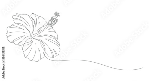 Elegant single line drawing of a hibiscus flower with delicate petals and stamen on a clean white background