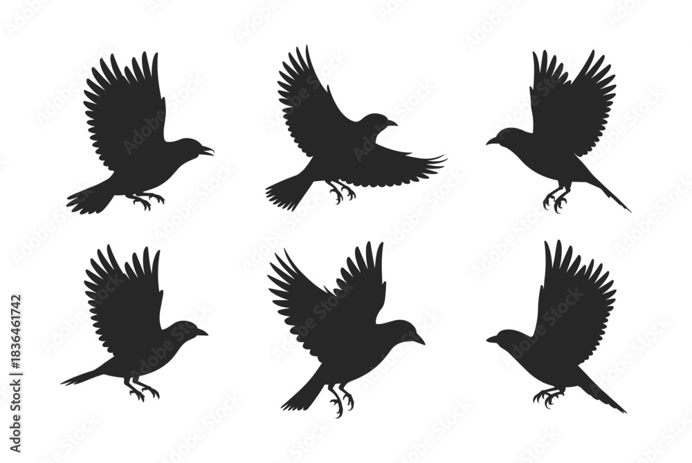 Obraz premium A collection of black bird silhouettes showcasing various flight and landing poses