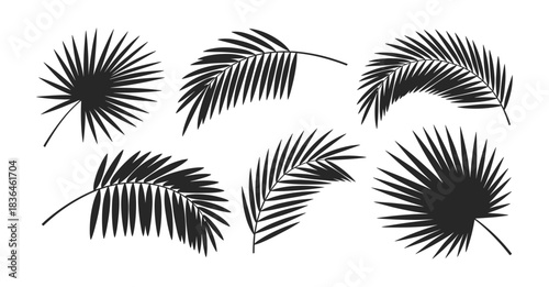 A collection of black silhouette tropical palm leaves provides versatile design elements for creative projects
