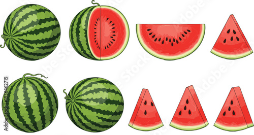 Watermelon illustration set featuring whole melons, halves, and triangular slices with bright red flesh