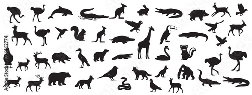vector collection of many all animal silhouettes.