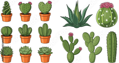 Cactus and succulent plants vector collection with potted desert plants and flowering cacti in flat style