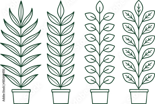 House Plant Outline Set. Indoor Plant Outline Collection. Potted House Plant Line Art. Minimal House Plant Outline Pack. Botanical House Plant Outline Design. House Plant Illustration in Outline