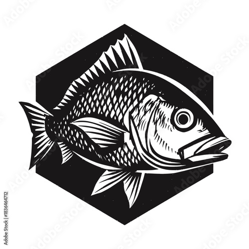 Black and white fish illustration inside a hexagonal frame graphic design