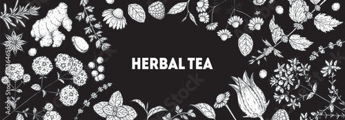 Herbal Tea vector drawing illustration. Herbal tea ingredients. Healthy food and drink . Vector drawing sketch collection. Engraved style.