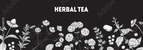 Herbal Tea vector drawing illustration. Herbal tea ingredients. Healthy food and drink . Vector drawing sketch collection. Engraved style.