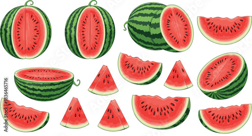 Fresh watermelon illustration set showing whole, halved, and sliced juicy watermelon pieces with vibrant red pulp