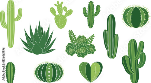 Green cactus and succulent vector set with desert plants and decorative houseplant shapes in flat style