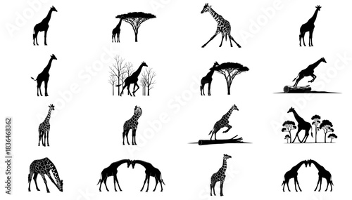 horizon giants charting the giraffes life in bold graphic silhouettes set, isolated on transparent background