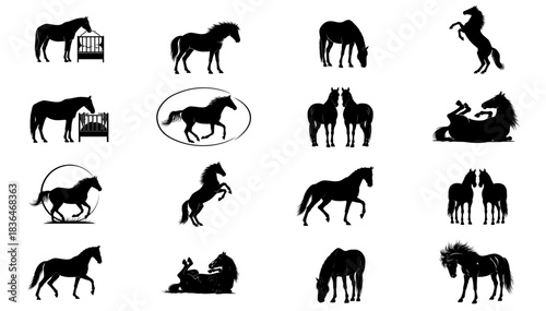 midnight meadow a graphic lexicon of equine dreams and gentle strength set, isolated on transparent background