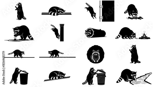 nocturnal subterfuge a graphic compendium of clever raccoon antics and exploits set, isolated on transparent background
