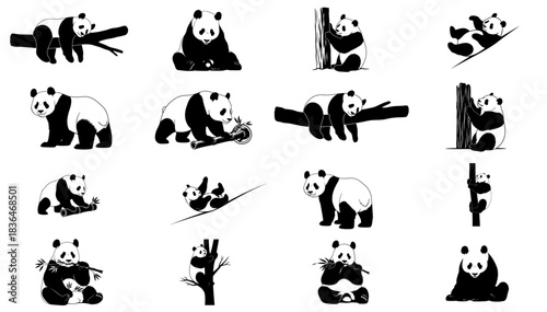 the tao of bamboo a graphic vocabulary of panda serenity and play set, isolated on transparent background