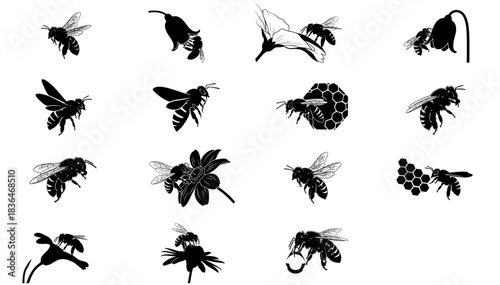 the pollinators blueprint a collection of the honeybees essential work, isolated on transparent background