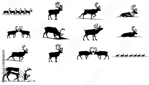 the tundras pulse a graphic cycle of reindeer migration, rivalry, and rest set, isolated on transparent background