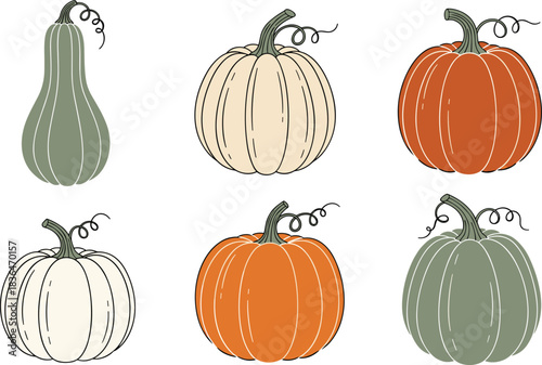 Outlined Cartoon Pumpkin and Squash Vector Collection Featuring Butternut and Round Shapes in Orange, Green, and Cream Hues for Autumn Harvest and Halloween