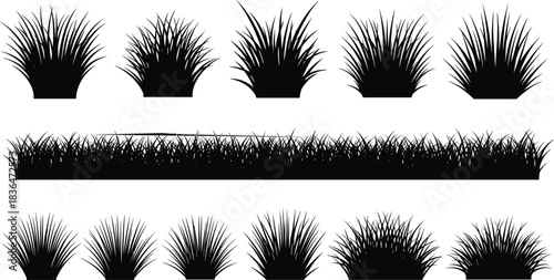 Black grass silhouette collection, variety of bushes and borders, vector art design.