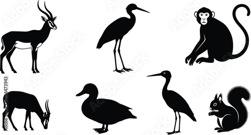 Collection of black animal silhouettes including gazelle monkey duck heron and squirrel on white background