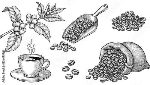 Minimal Coffee Icon Set – Line Art Coffee Tools, Cups, Beans, Barista Equipment Vector Collection