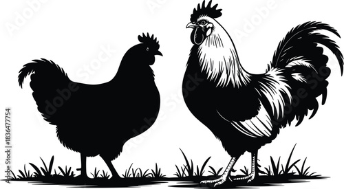 Chicken rooster silhouette, poultry pair, farm animal, feather detail, black icon, grass scene, vector style, livestock illustration