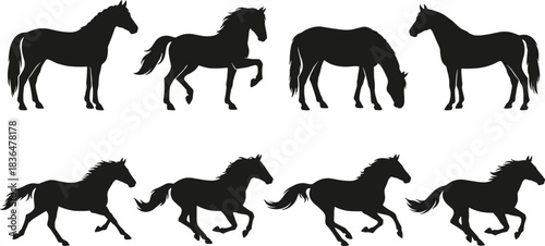 Horse Silhouettes Set, Running, Grazing, and Reaching Equine Animals Vector Collection