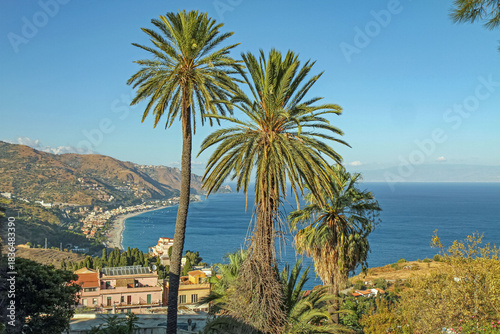Wallpaper Mural The picturesque Mediterranean coastal landscape of Sicily, Italy, with tall palm trees, blue sea, distant mountains, and coastal villages. Torontodigital.ca