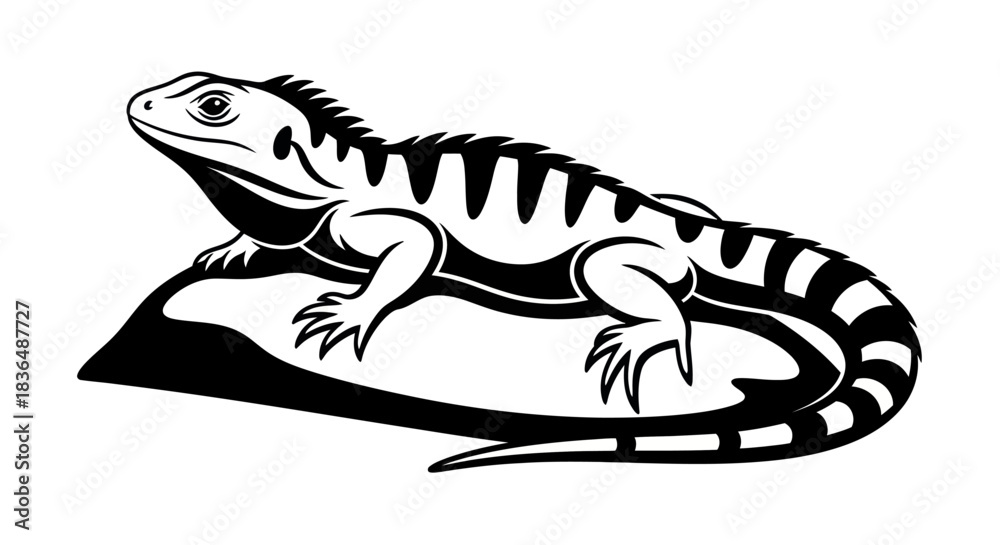 Obraz premium Black and white iguana illustration on a rock vector design