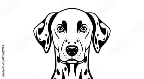 Black and white illustration of a dalmatian dog head isolated