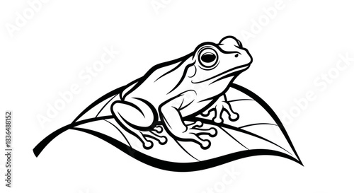 Black and white illustration of a frog on a leaf isolated on white