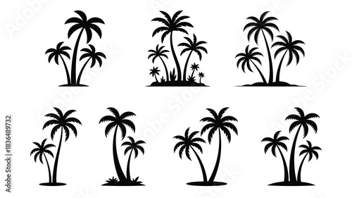 tropical coconut, palm tree silhouette