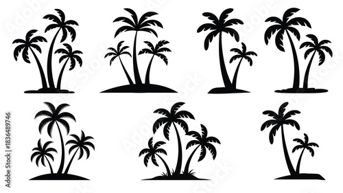 tropical coconut, palm tree silhouette