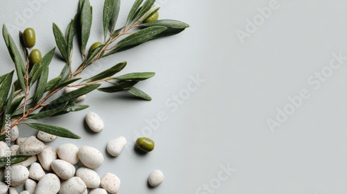 Elegant Olive Branch with Green Olives and White Pebbles on a Pale Gray Background Studio Shot Still Life Minimalist Style