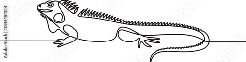 One continuous line drawing of beautiful iguana for company logo identity. Funny reptilian animal mascot concept for pet hobbyist association. one line Icon drawing