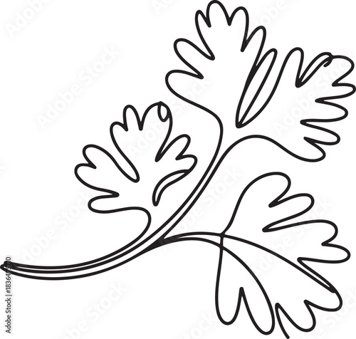 Continuous one line drawing healthy freshness organic raw coriander leaf for farm logo identity. Fresh Chinese parsley concept for vegetable icon. one line Icon drawing