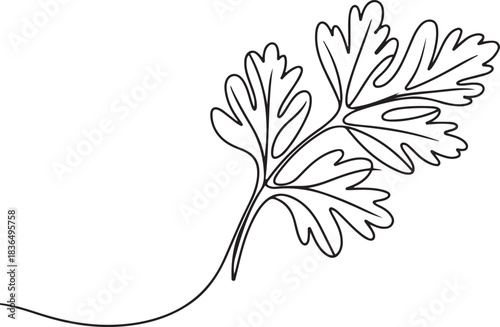 Continuous one line drawing healthy freshness organic raw coriander leaf for farm logo identity. Fresh Chinese parsley concept for vegetable icon. one line Icon drawing