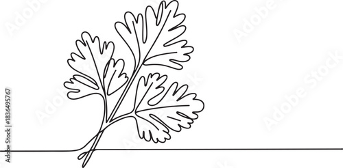 Continuous one line drawing healthy freshness organic raw coriander leaf for farm logo identity. Fresh Chinese parsley concept for vegetable icon. one line Icon drawing