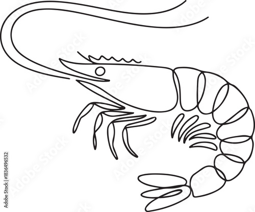Shrimp continuous one line drawing. Ocean animal sea food concept. one line Icon drawing