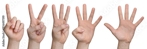 Set of hand showing numbers one, two, three, four, five with raised fingers, isolated on a white background. Perfect for education, counting, communication, and instructional materials.