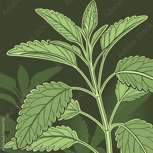 Stylized Herb Illustration Green Foliage and Dark Green Background Ornamental Leaves Herbal Medicine Theme Botanical Drawing With Intricate Detail