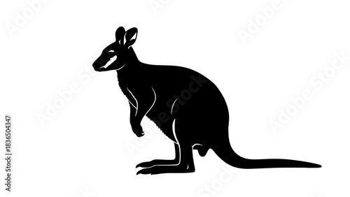 Single black kangaroo silhouette isolated on white background