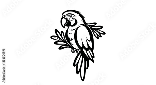 Black and white parrot illustration on white background vector art