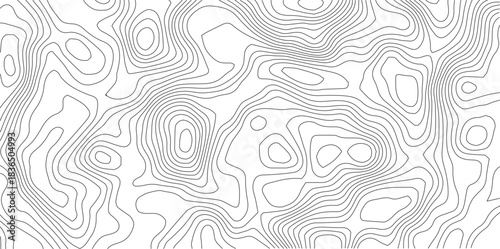 Topographical Map Abstraction: Intricate lines and contours delineate an abstract topographical map, offering a minimalist and modern representation of landscape and elevation changes.	