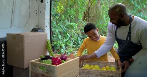 At van African American father dumping lemons showing onion guiding son placing pepper in crate