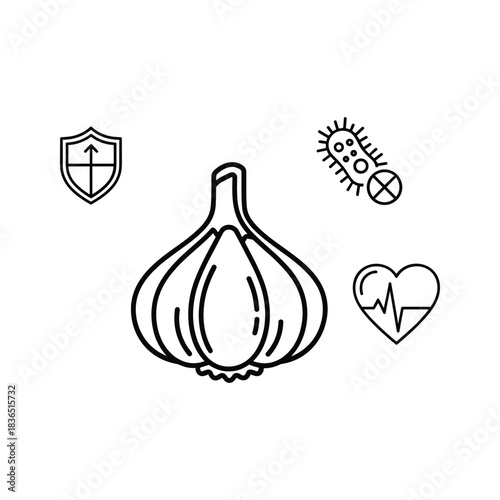 Garlic Health Benefits Icons: Boosting Immunity, Fighting Germs, and Supporting Cardiovascular Health with Natural Remedies