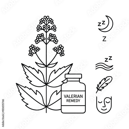 Herbal Valerian Remedy for Sleep, Stress, and Tranquility with Relaxation Icons