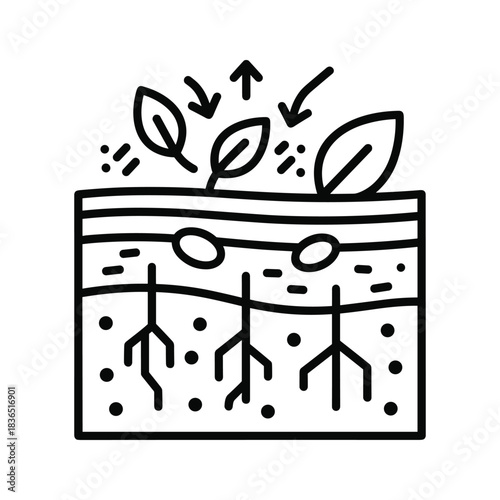 Soil Ecosystem Diagram: Plant Roots, Nutrient Cycling, and Environmental Exchange