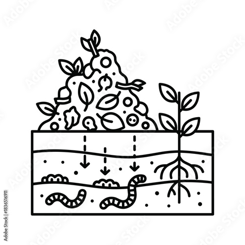 Soil Enrichment and Organic Decomposition with Earthworms