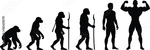 Human Evolution Silhouettes Chart Showing Hominid Development from Ape to Modern Muscular Man, Illustrating the Historical Process of Adaptation and Progress