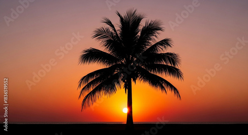 Palm Tree Silhouette at Sunset Tropical Evening Scene