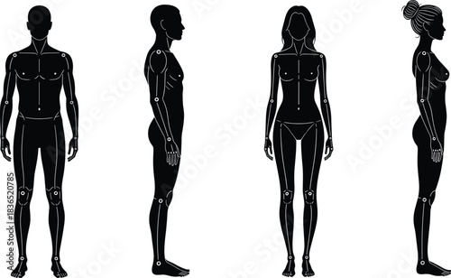 Human body template silhouettes for medical or fashion design, male and female figures with visible joint articulation points, front and side view anatomy concept, isolated vector graphics.